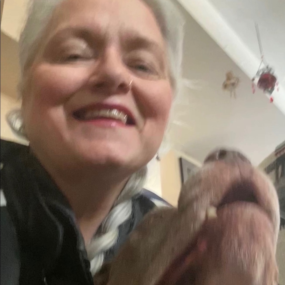 Meet your Posher, Lisa